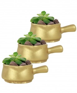 Mini Çiçek Saksı Küçük Sukulent Altın Kaktüs Saksısı 3'lü Set Mini Tava Model